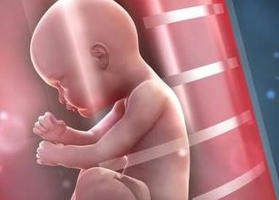 2026年河北燕达医院三代试管技术如何？大概要花费多少钱？