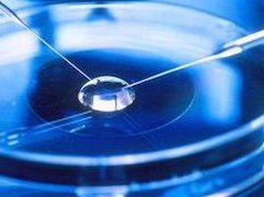 贵州遵义助孕-遵义市比较大的助孕机构