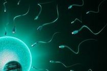 合肥做试管婴儿要多少钱？2026合肥三代试管生孩子医院名单更新